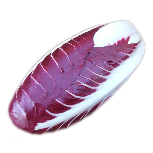 Natoora Italian Radicchio Trevisano