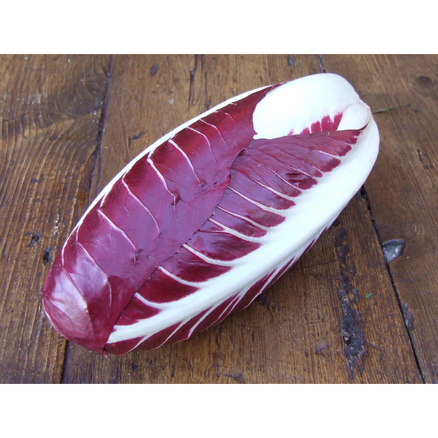 Natoora Italian Radicchio Trevisano thumbnail 2