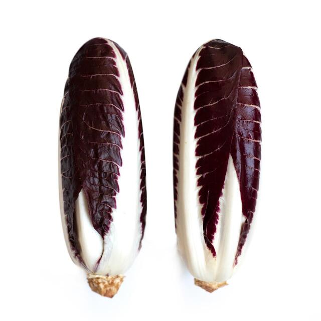 Natoora Italian Radicchio Trevisano thumbnail 3