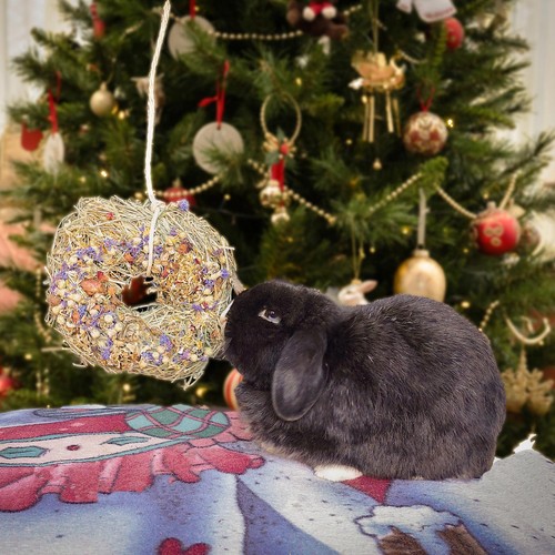 Rosewood Naturals Winter Wreath thumbnail 3