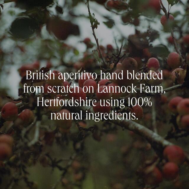 Botivo Alcohol Free Botanical Aperitivo thumbnail 4