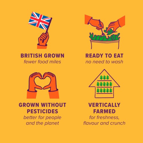 Unbeleafable Mixed Babyleaf Salad thumbnail 4