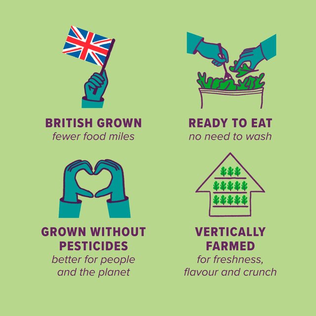 Unbeleafable Zesty Babyleaf Salad thumbnail 2