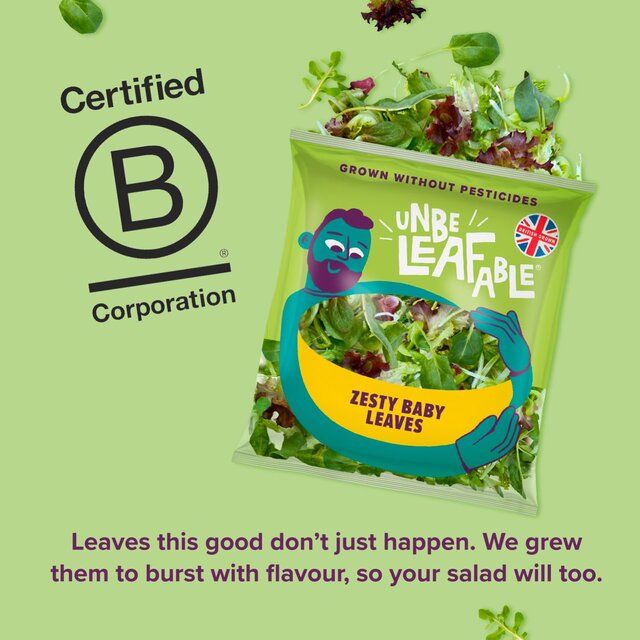 Unbeleafable Zesty Babyleaf Salad thumbnail 3