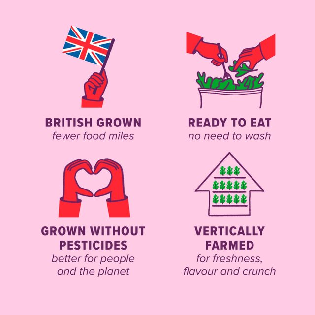 Unbeleafable Rocket & Babyleaf Salad thumbnail 2