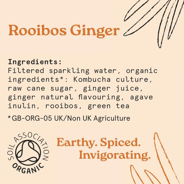 HOLOS Organic Sparkling Tea Rooibos Ginger thumbnail 3