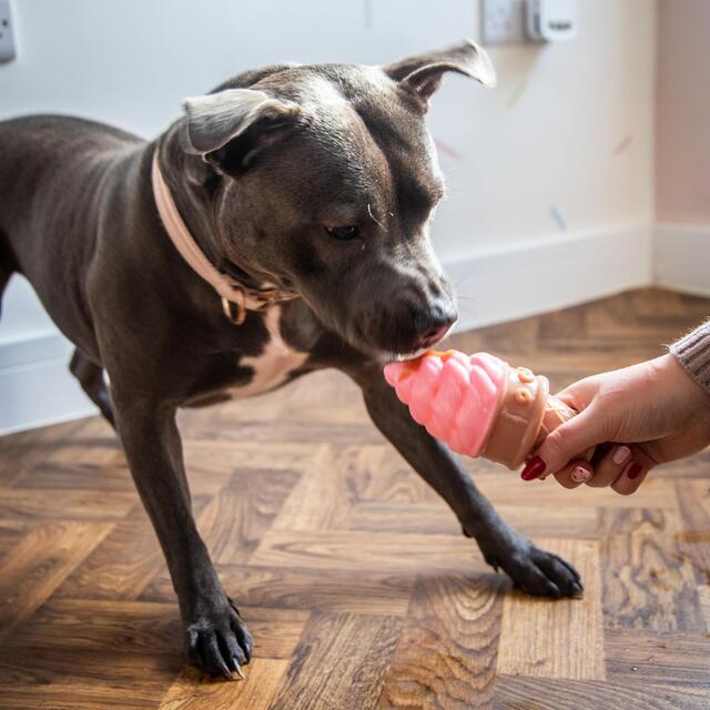 Rosewood Fill 'N' Freeze Icecream thumbnail 8