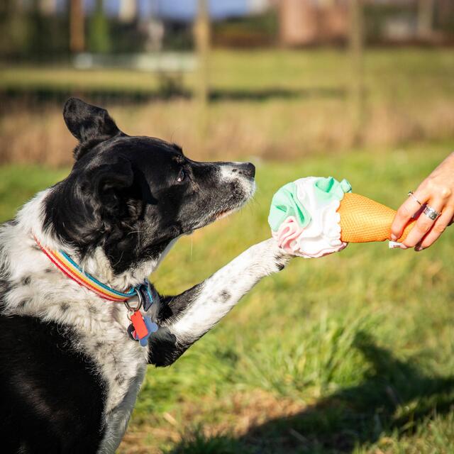 Rosewood Cooling Snuffle Icecream thumbnail 10