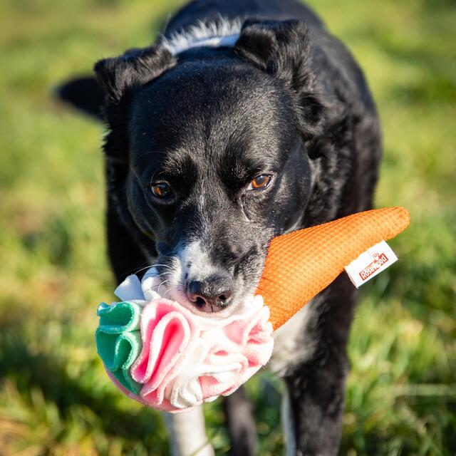 Rosewood Cooling Snuffle Icecream thumbnail 6