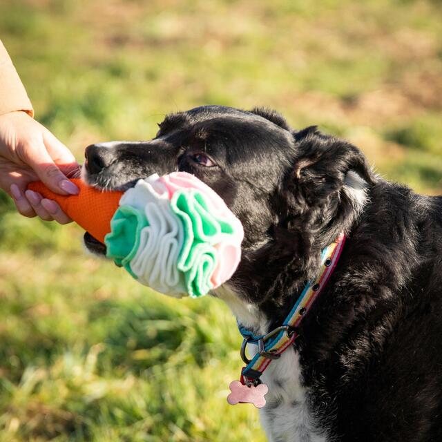 Rosewood Cooling Snuffle Icecream thumbnail 7