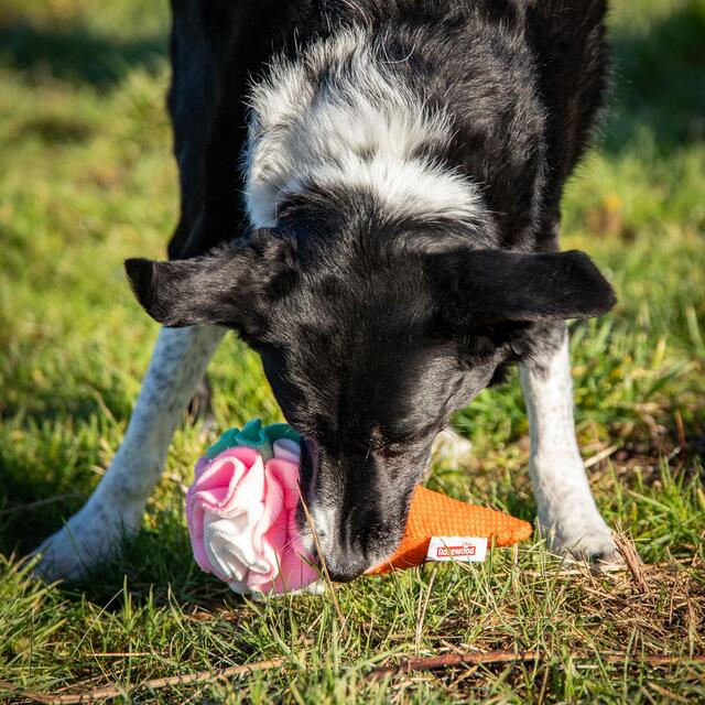 Rosewood Cooling Snuffle Icecream thumbnail 9