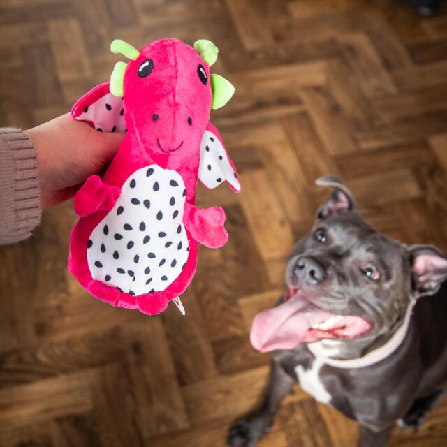 Rosewood Cooling Dragonfruit Dragon thumbnail 5