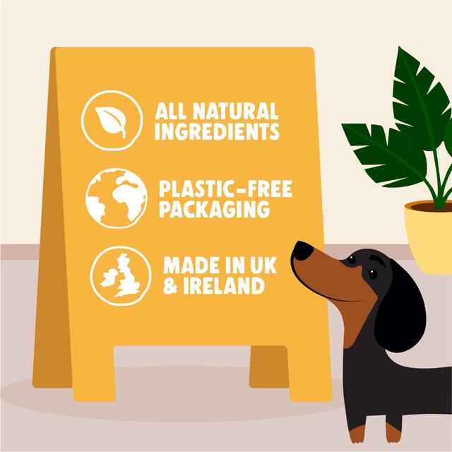 Denzel's Banana Bread Soft Baked Bars for Dogs thumbnail 6