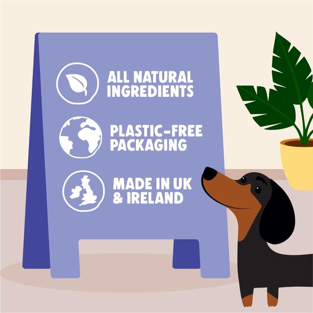 Denzel's Blueberry Muffin Soft Baked Bars for Dogs thumbnail 5