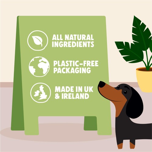 Denzels Pistachio Soft-Baked Bars for Dogs thumbnail 4