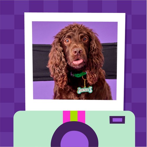 Denzel's Space Mix Duck & Apple Dog Treats thumbnail 3