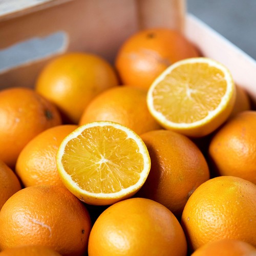Natoora Spanish Organic Unwaxed Oranges thumbnail 2