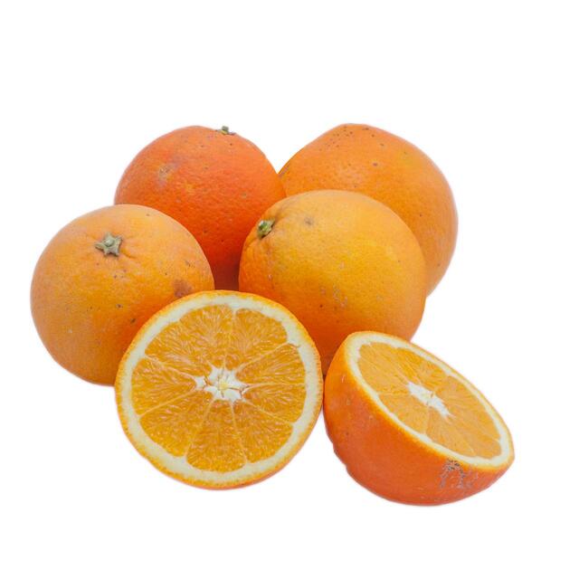 Natoora Spanish Organic Unwaxed Oranges