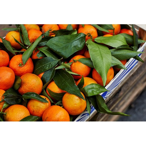 Natoora Spanish Golden Nugget Clementines thumbnail 2