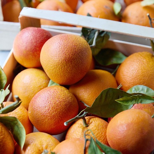Natoora Sicilian Unwaxed Blood Oranges thumbnail 2