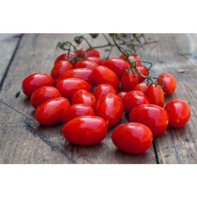 Natoora Sicilian Datterini Tomatoes thumbnail 3