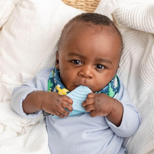 Cheeky Chompers Neckerchew Baby Dino thumbnail 2