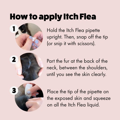 Itch Flea & Tick Spot On Treatment For Cats thumbnail 3