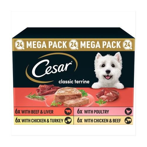 Cesar Classics Terrine Wet Dog Food Trays Mixed Selection 3x8pk