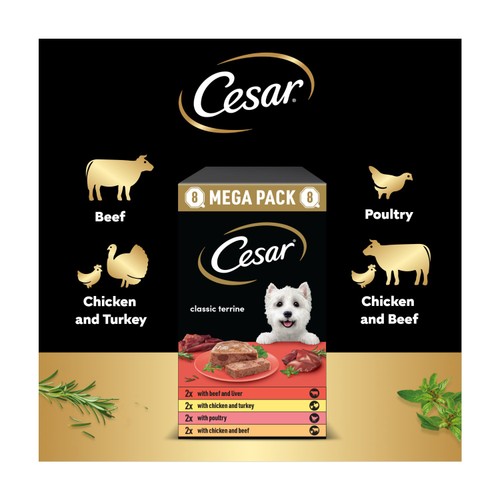 Cesar Classics Terrine Wet Dog Food Trays Mixed Selection 3x8pk thumbnail 4