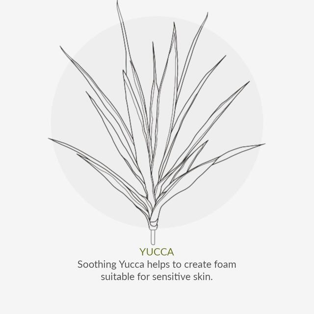 Organic Children Shampoo & Body Wash Lavender Burst thumbnail 7