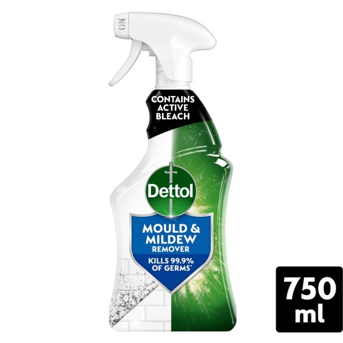 Dettol Mould & Mildew