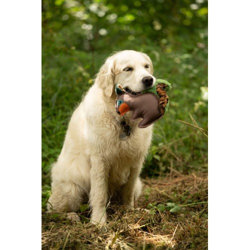 Petface Salina Squirrel Plush Dog Toy thumbnail 3