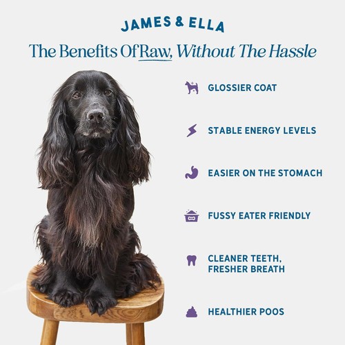 James & Ella Raw Kibble + Freeze Dried Game Dry Dog Food thumbnail 8