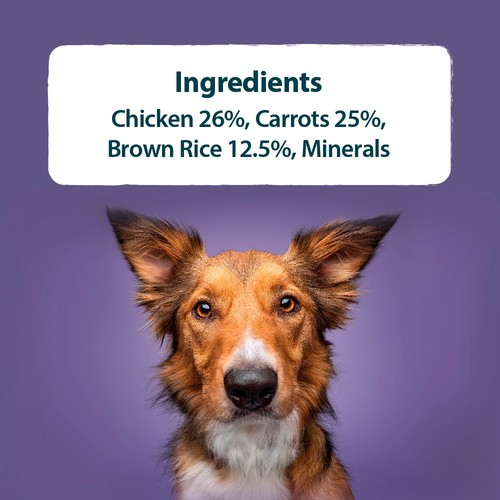 Burns Wet Food Free Range Chicken With Carrots & Brown Rice thumbnail 2