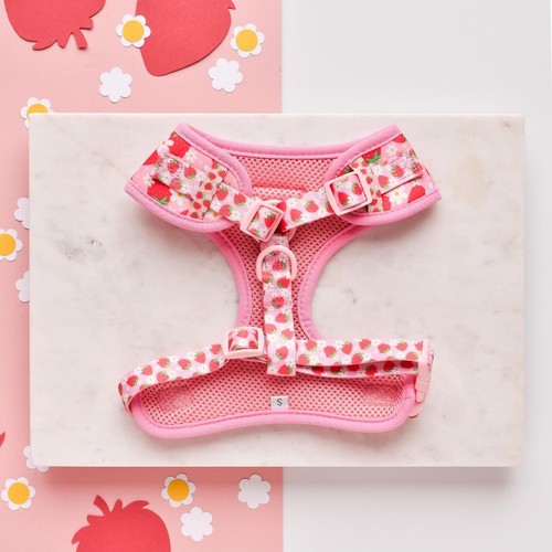 Cocopup London Pupberry Fields Dog Harness Small thumbnail 3