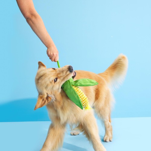 Bark Corn On The Slob Dog Toy thumbnail 2