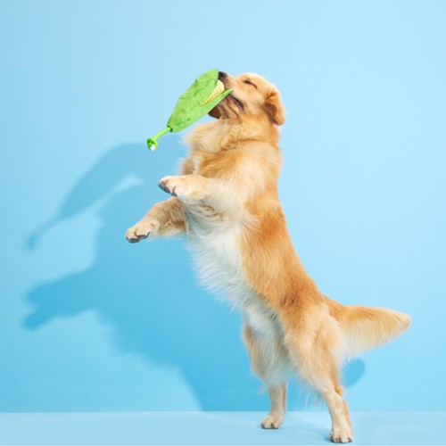 Bark Corn On The Slob Dog Toy thumbnail 3