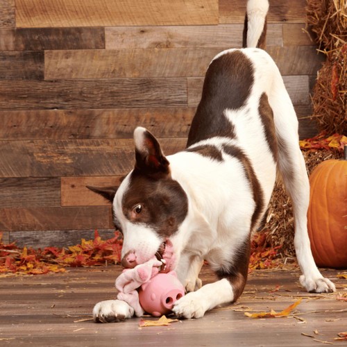 Bark Hambone Dog Toy thumbnail 3