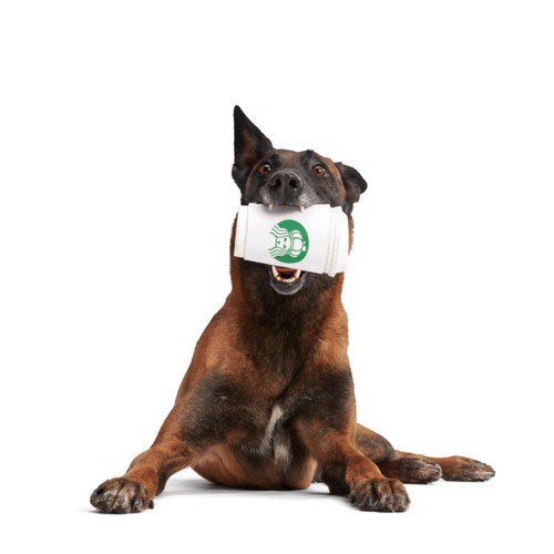 Bark Pupkin Spice Yappucino Dog Toy thumbnail 3