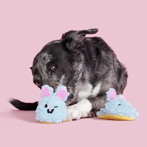Bark Yippy & Skippy Slippies Dog Toy thumbnail 3