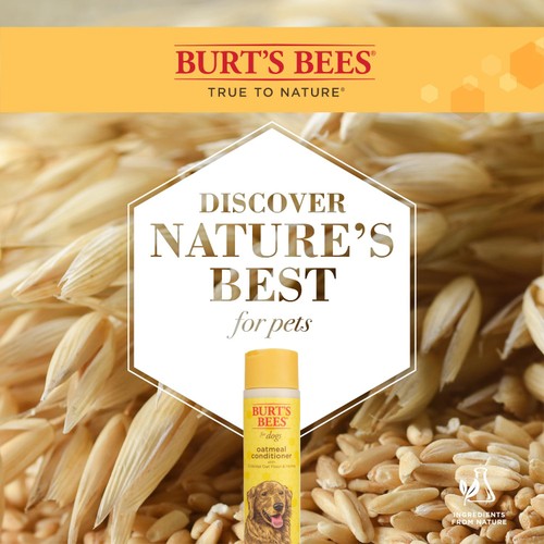 Burt's Bees Oatmeal Dog Conditioner for Dogs thumbnail 3