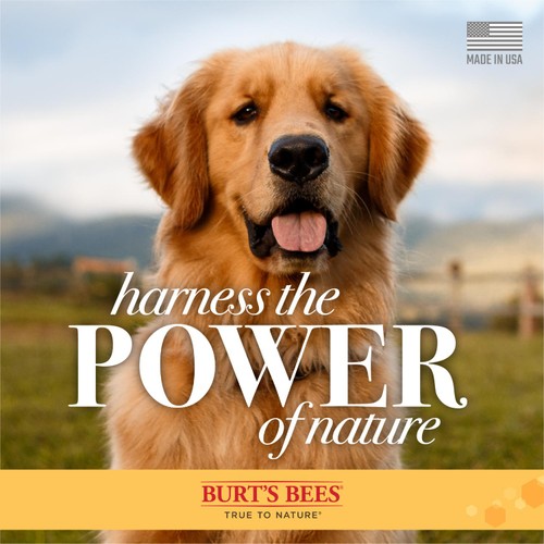 Burt's Bees Oatmeal Shampoo for Dogs thumbnail 6