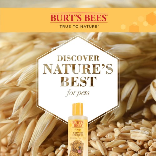 Burt's Bees Oatmeal Shampoo for Dogs thumbnail 7