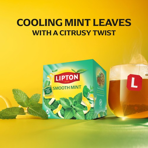 Lipton Smooth Mint Peppermint Tea Bags thumbnail 8