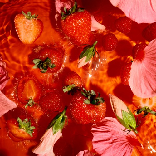Lipton Fruit Tea Berry Bliss Tea Bags thumbnail 3