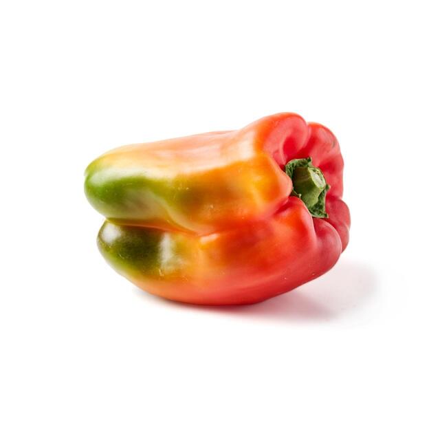 Natoora Red and Green Large Pepper