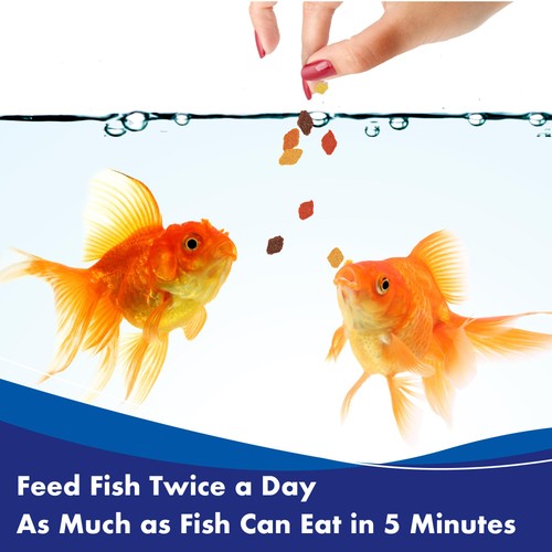 AQUARIAN Goldfish Food Flakes thumbnail 3