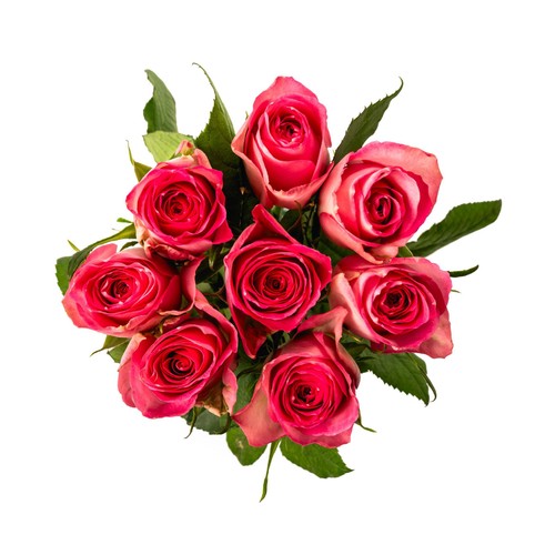 Pink Roses thumbnail 2