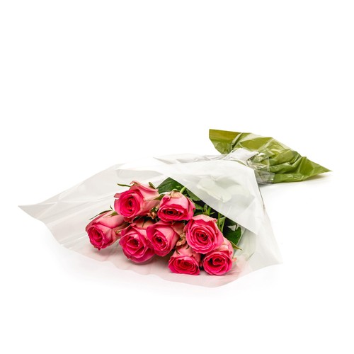 Pink Roses thumbnail 3