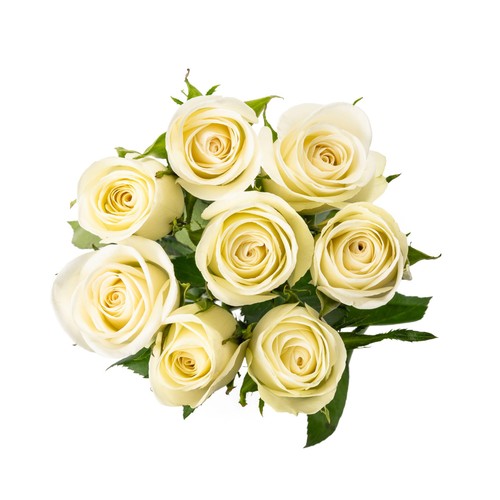 White Roses thumbnail 2